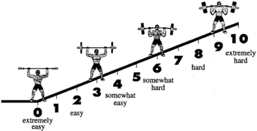 OMNI-RES system