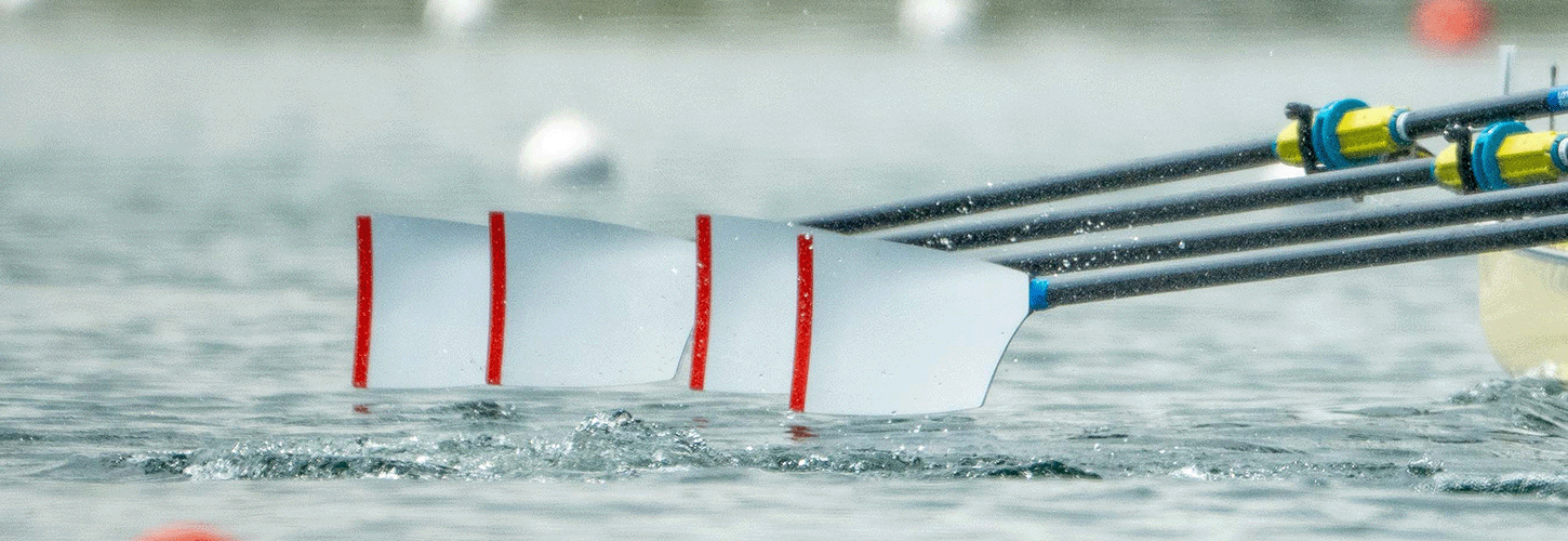 quad blades at catch