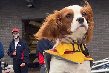 Dog in rowing four with coaches in background