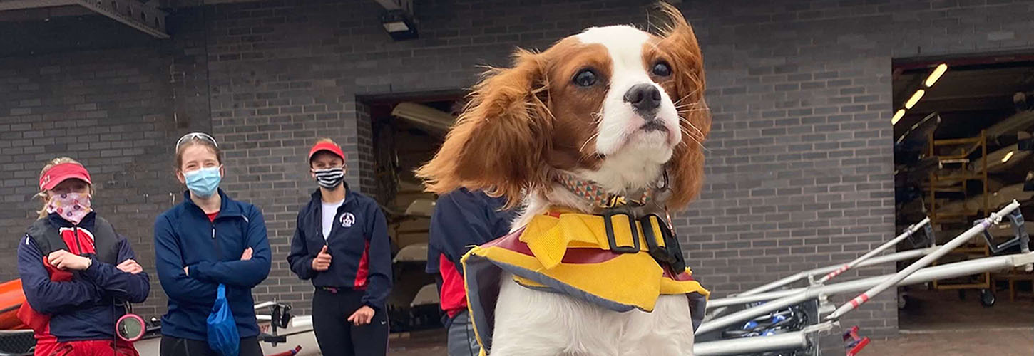 Dog in rowing four with coaches in background