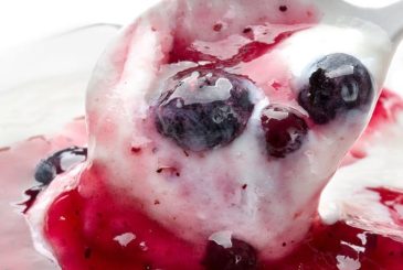 berry fruit ripple dessert