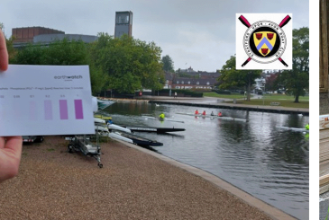 water testing and the bee cafe at SuABC