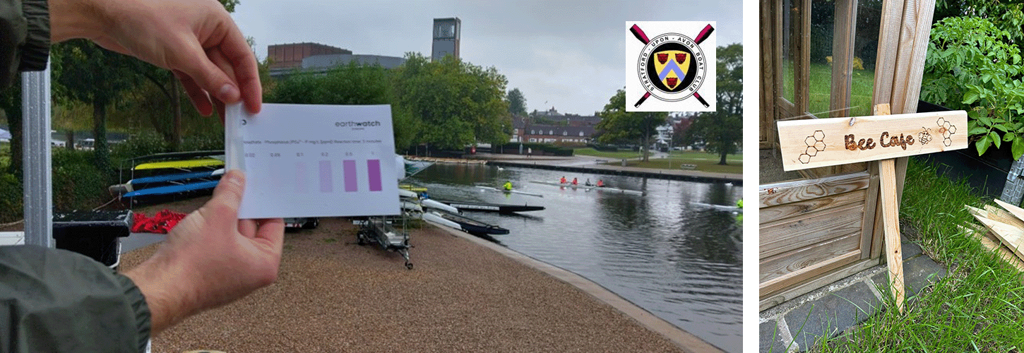 water testing and the bee cafe at SuABC