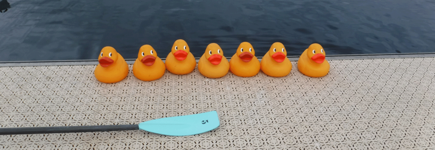 Line of plastic ducks on a landing stage with a blade