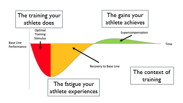The four areas of athlete monitoring in rowing