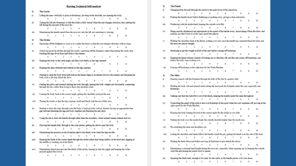 Detailed questionnaire for rating various aspects of technique.