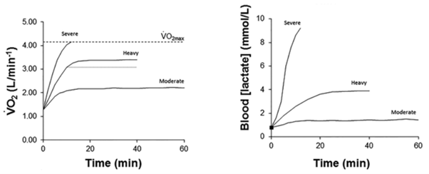 Three zone model of training intensity